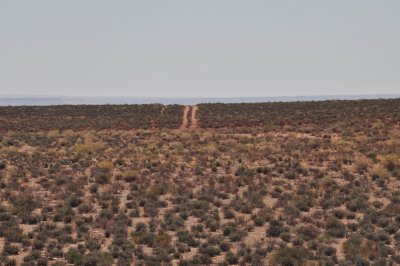 DSC_0030.JPG