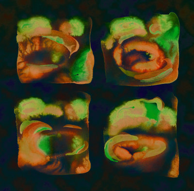 Heart Macrocosm