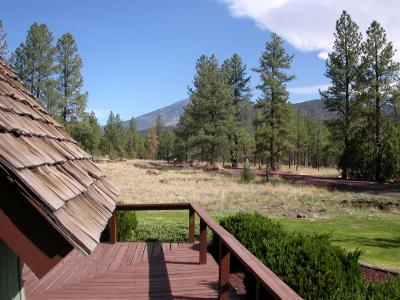 view from front porch