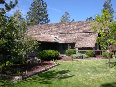 where we house-sat