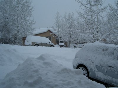 from Tracy's house in Flagstaff, January 7, 2008
