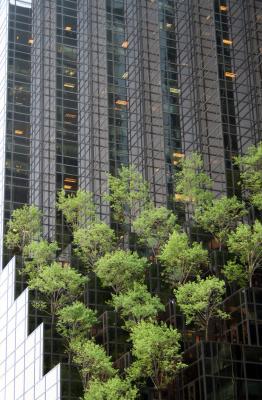 g4/65/615665/3/59984443.TrumpTower.jpg