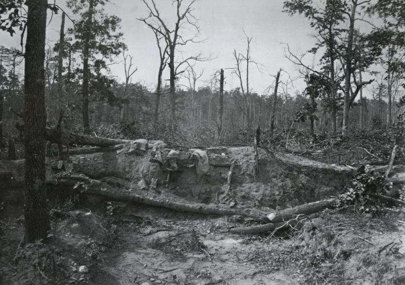wBattlefield of New Hope Church p.26.scan.jpg