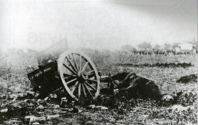 wDead Horse p.151.scan.jpg