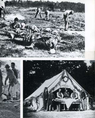 wSkulls in field p.215.scan.jpg