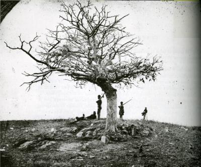 wSoldiers with Huge Dead Tree p.172.scan.jpg
