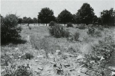 Field 01 p.413.jpg