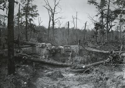 wBattlefield of New Hope Church p.26.scan.jpg