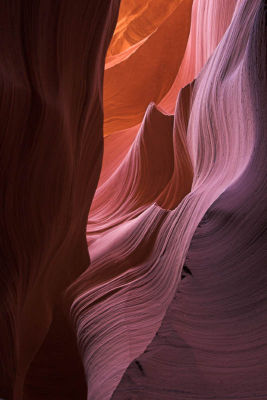 ripples 8616-01 web.jpg