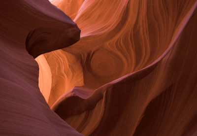 red spot 8711-01 web.jpg