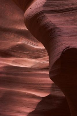 light  texture 8690-01 web.jpg