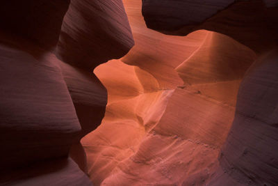 light  shadows 8634-01 web.jpg