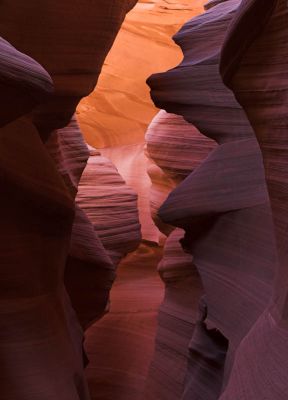 layers 8603-01 web.jpg