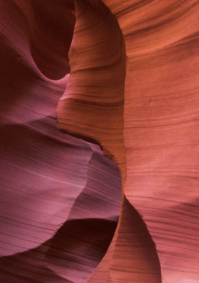 colors 8696-01 web.jpg