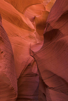 canyon 8640-01 web.jpg