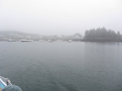 Cutler in the fog