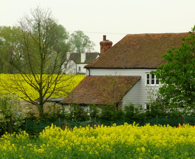 Greens  Farmhouse  with  Strawberry  Hall, behind