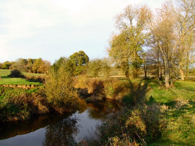 Evening  on  the  riverbank.