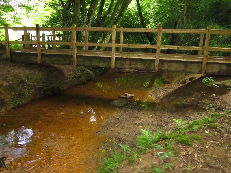 Footbridge  in  Furnace  Wood
