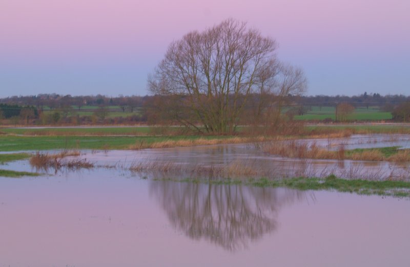 The River Roding in flood.