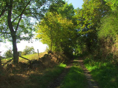 A  sleepy  lane  in  rural  Shropshire