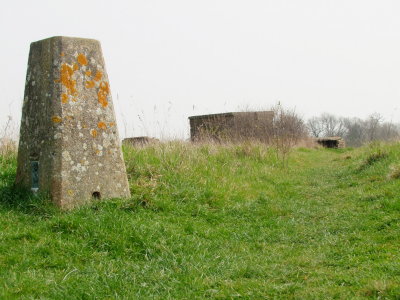 Next  to  the  triangulation  pillar  on  Monkham's  Hill