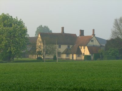 Bushes  Farmhouse in early sunlight.