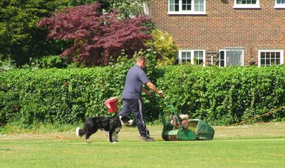The  groundsman  at  work