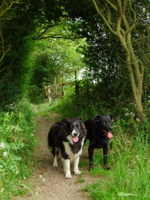 Lady and Max posing.