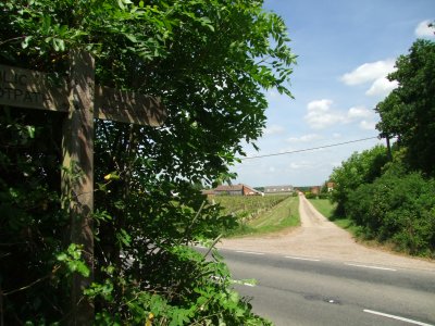 Footpath  sign  pointing  to  The  Vineyard.