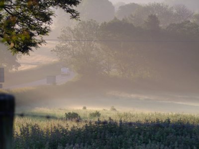 Morning  mist  by  Penblewin  Farm