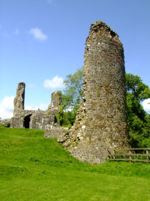 Narberth  Castle  ruins / 2