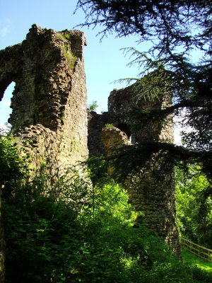Narberth  Castle  ruins / 3