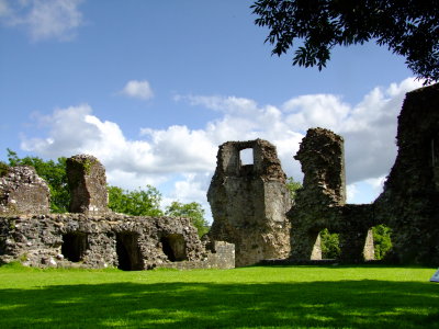 Narberth  Castle  ruins / 4