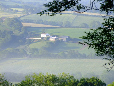 Morning  mist  in  Lampeter  Vale.