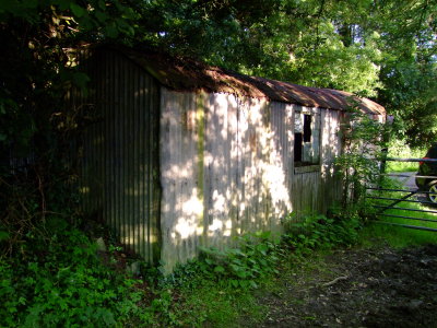 A  somewhat  worse  for  wear  shed.