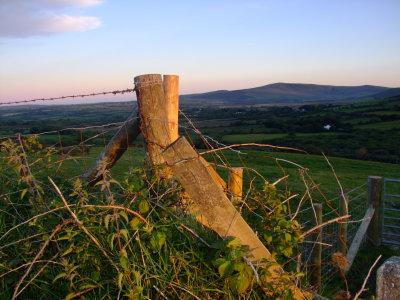 Just  before  dawn  in  the  Preseli  Hills.