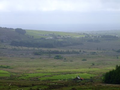 On  the  southern  slopes  of  Foel  Eryr