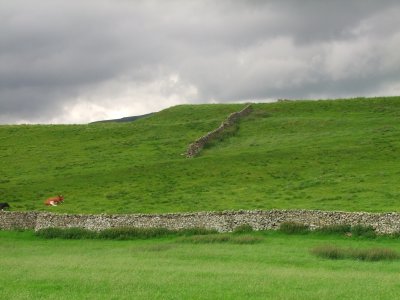 Earthworks  remains  of  Roman  fort  of  VIROSIDUM.