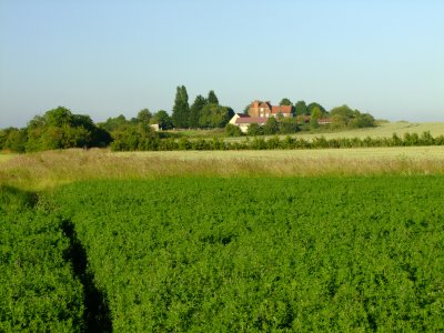 The  approach  to  Sparrow  Wycke  farm