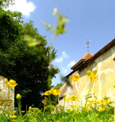 Redundant  St. Marys  Church , with  buttercups  in  graveyard..