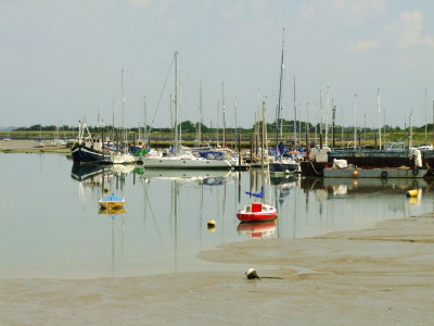 Boats  in  the  marina.