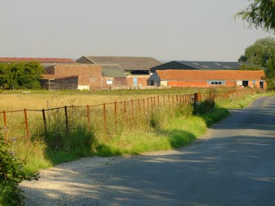 Hall  Farm  buildings, from  Canney  Road.
