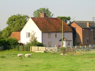 Grange  Farm ,from  The  Street.