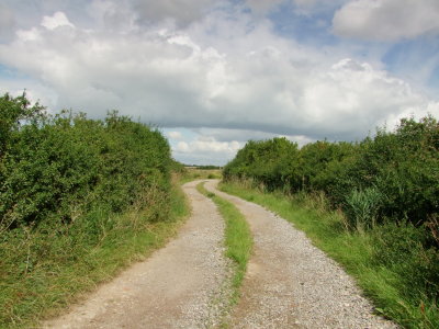Track  leading  onto  the  marshes.