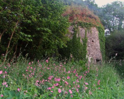 C 13th  century  Manorbier  Castle  dovecote