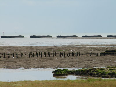 Defences  against  coastal  erosion.