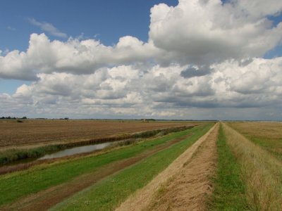 Looking  North  along  the  sea  dyke.