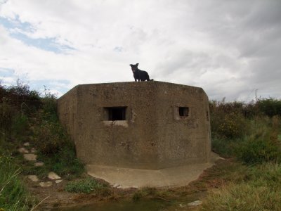 Pillbox  built  into  sea  dyke