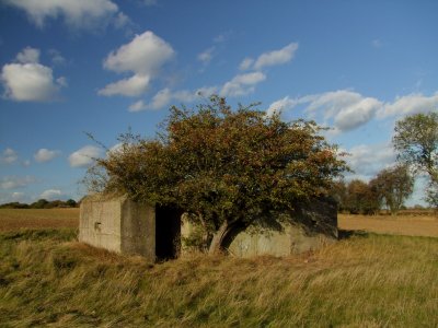 A  large  concrete  WW2  pillbox